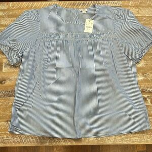 NWT J. Crew Factory Blue and White Striped Top